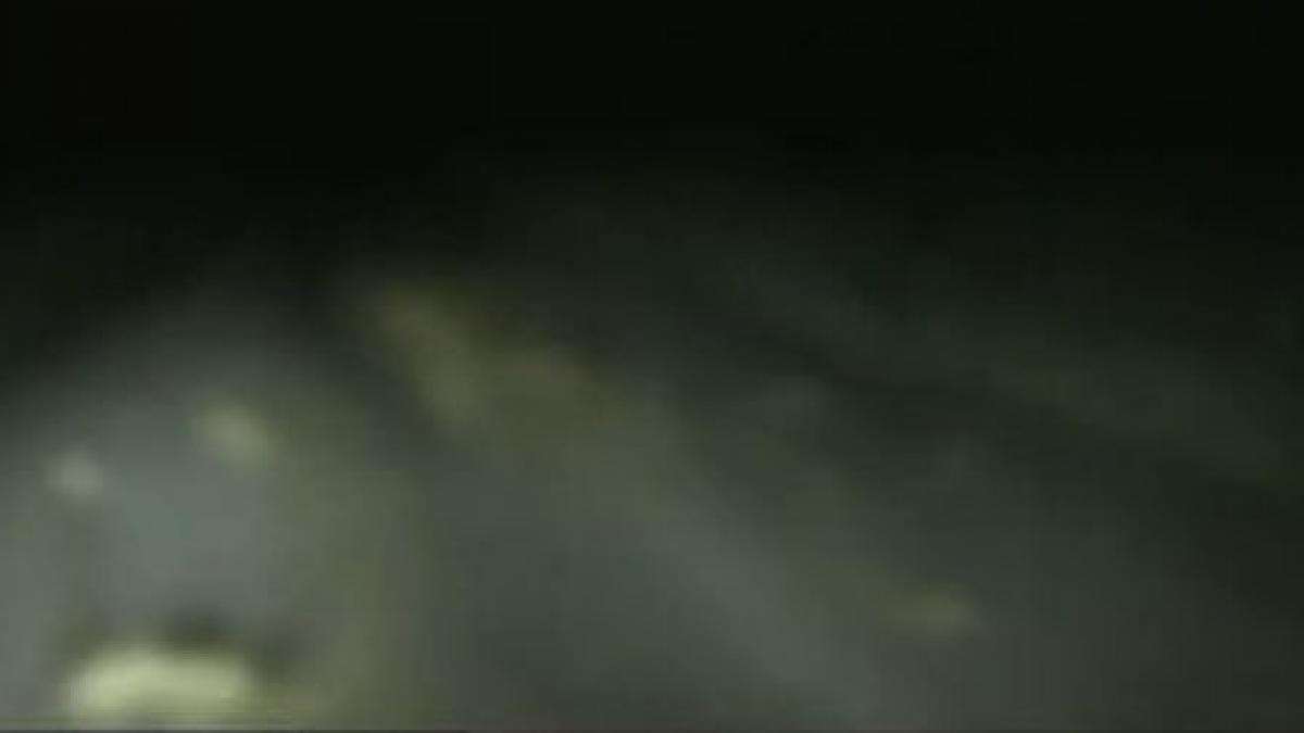 tone de gunoaie si resturi de animale imprastiate pe dn 15