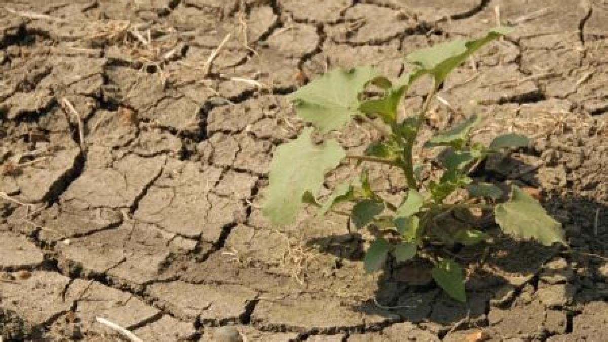 asistam la un eveniment fara precedent fenomenul din sua care ar putea provoca o criza mondiala