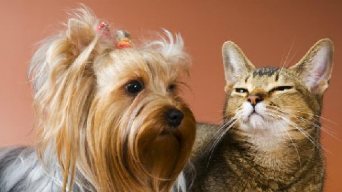 business ul in care cuvintele lipsesc dar banii sunt din belsug secretul unei afaceri cu perspectiva