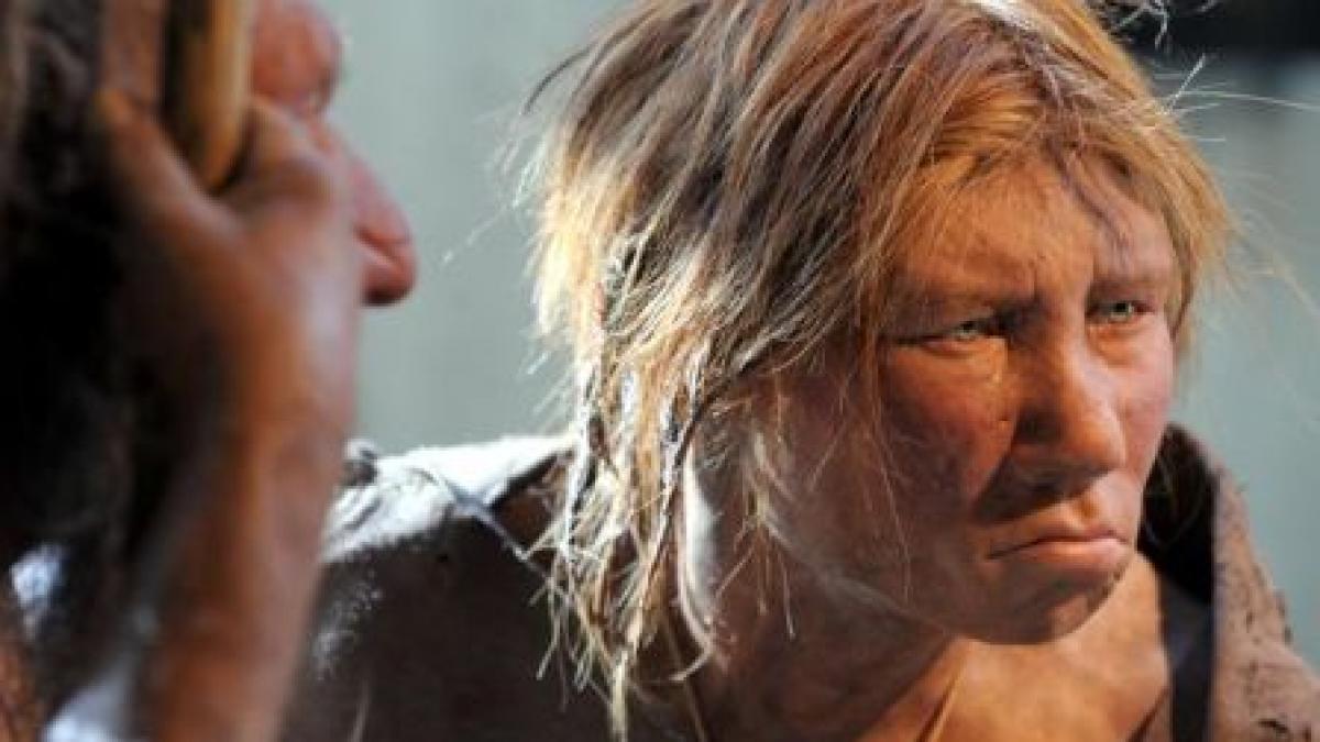 in arborele genealogic al umanitatii a crescut o noua creanga