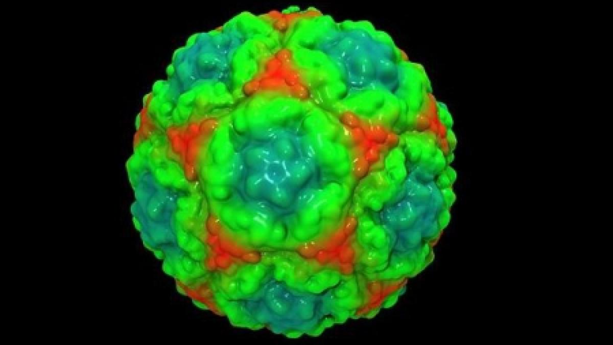 ipoteza fiinta umana a aparut in urma unui accident genetic