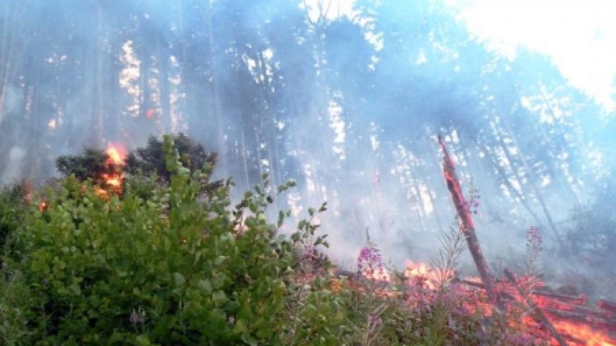incendiul din prahova care s a extins pe 150 de hectare stins de ploaie