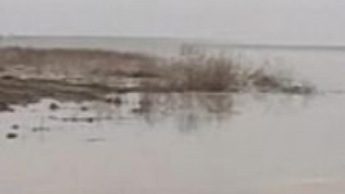 poluare pe zeci de kilometri pe raul jiu au fost aruncate resturi de carbune intr un parau din zona