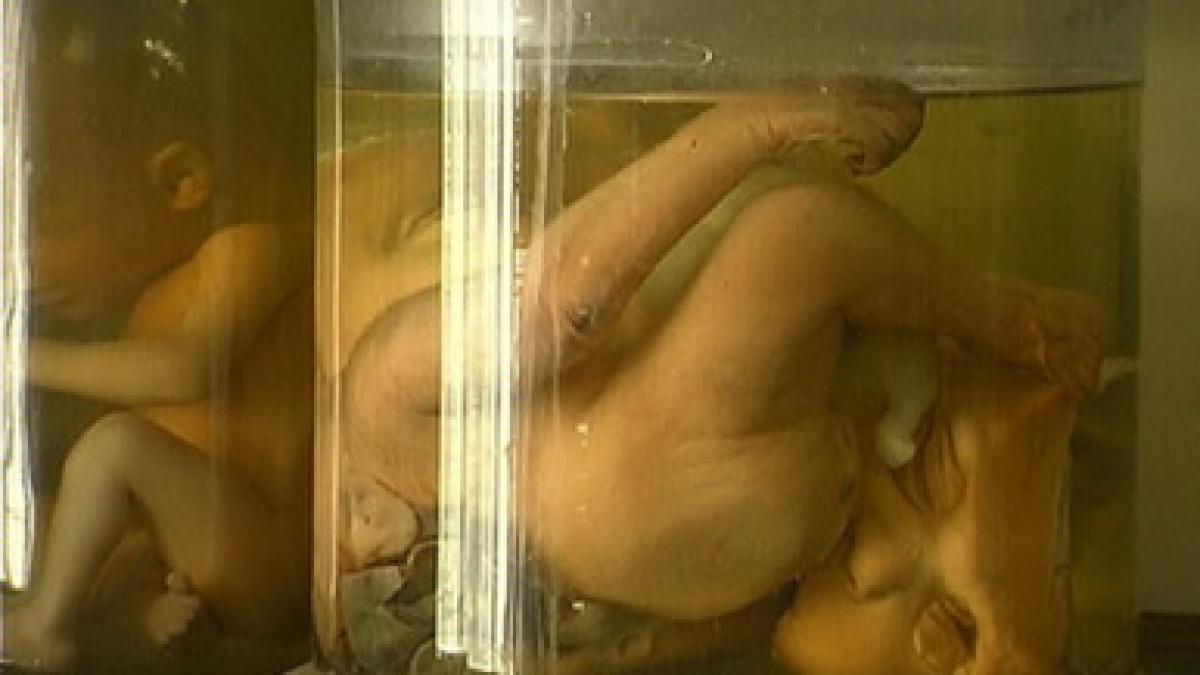 cand stiinta vrea sa ia locul lui dumnezeu laboratoarele secrete in care viata se termina in