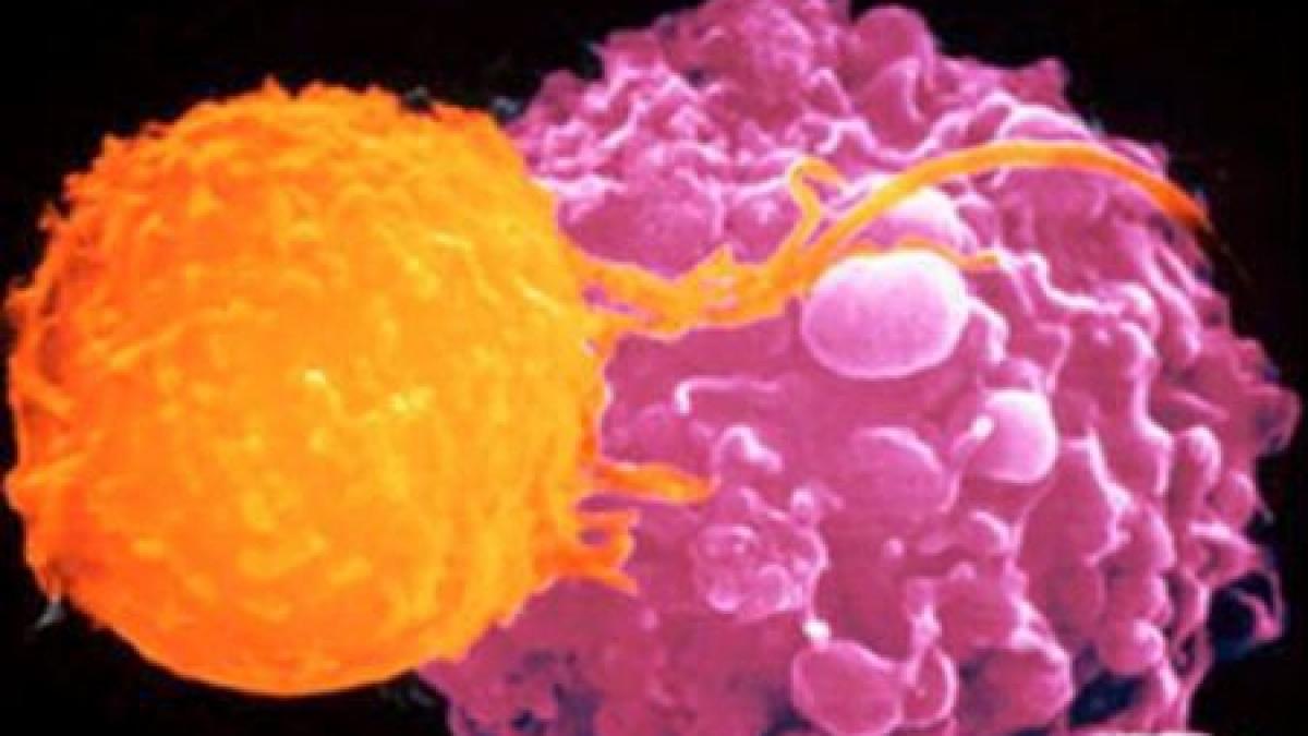 descoperirea care va opri moartea boala care omoara milioane de oameni ar putea fi vindecata printr