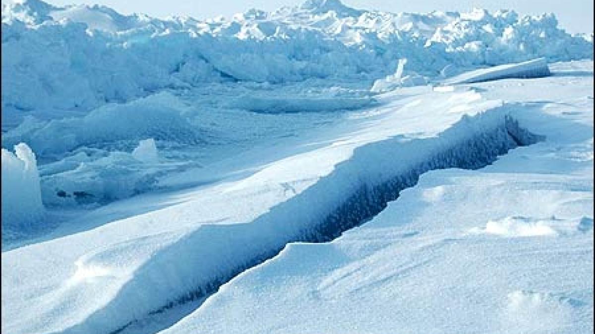 continentul ghetarilor a fost acum 52 de milioane de ani acoperit cu paduri tropicale