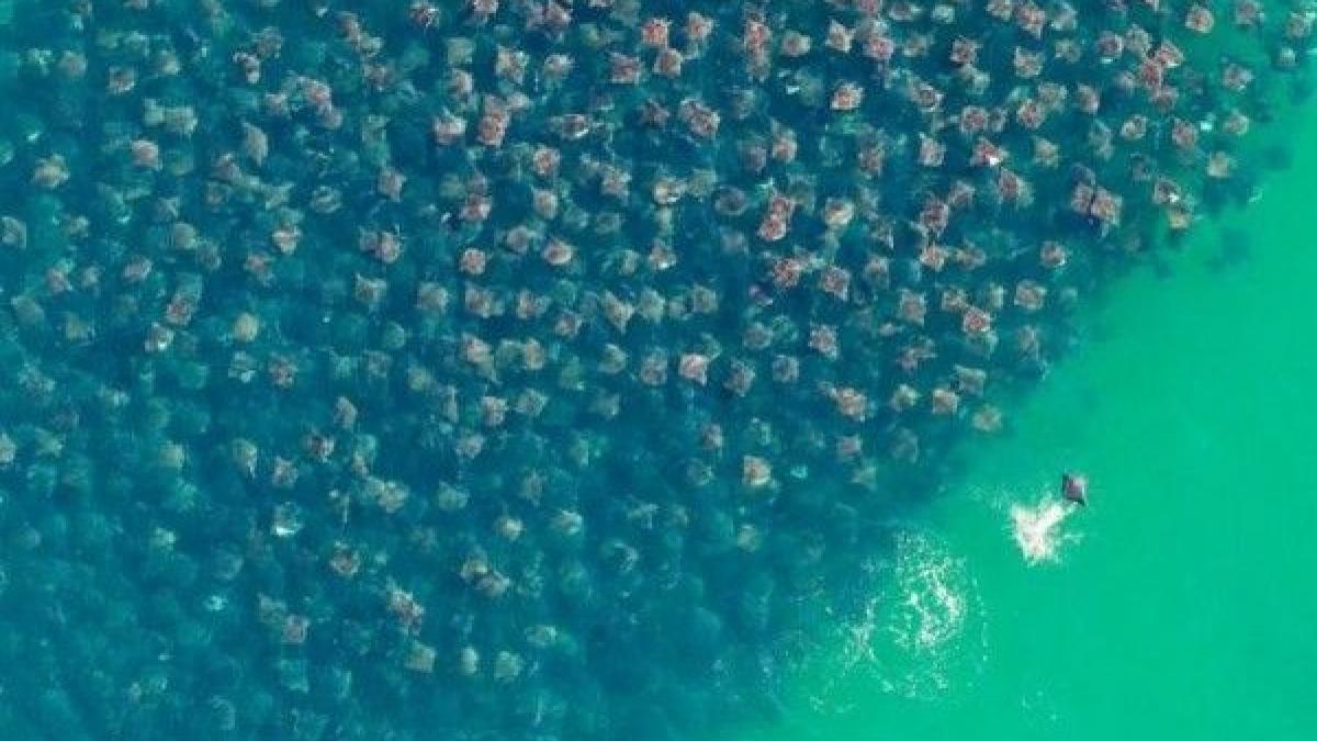 fenomenul rar care iti taie respiratia iti poti da seama despre ce este vorba