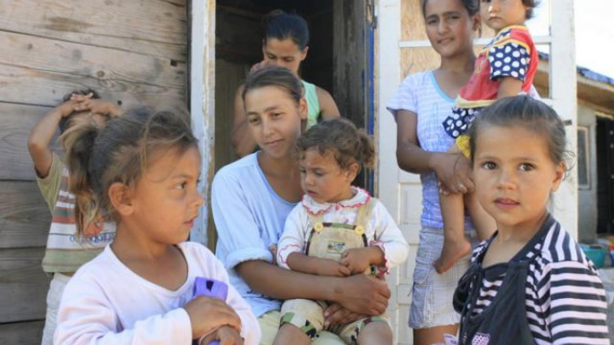 africa de langa bucuresti cei 17 salbatici din colonia petrachioaiei