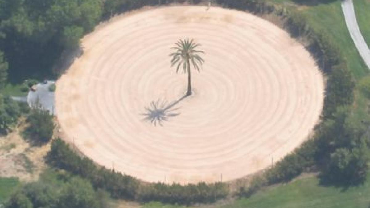 detaliul din aceasta fotografie te va tulbura de la purificarea spirituala la cruzime nu mai e