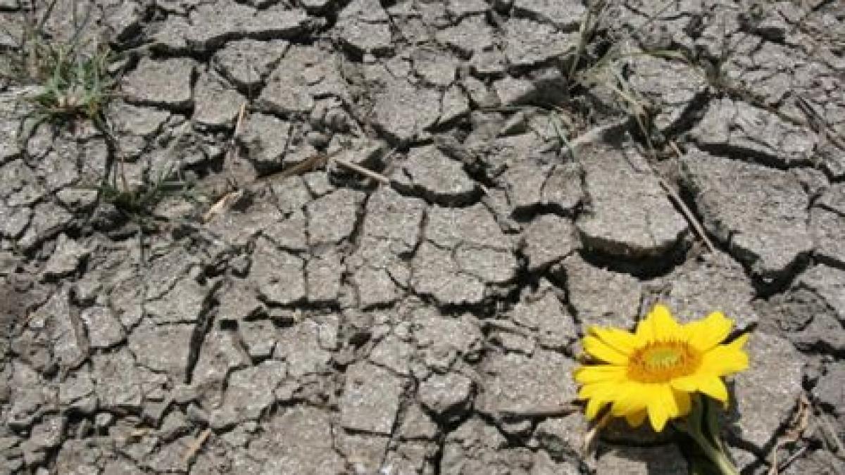 ploi slabe si seceta in urmatoarea perioada vezi prognoza meteo