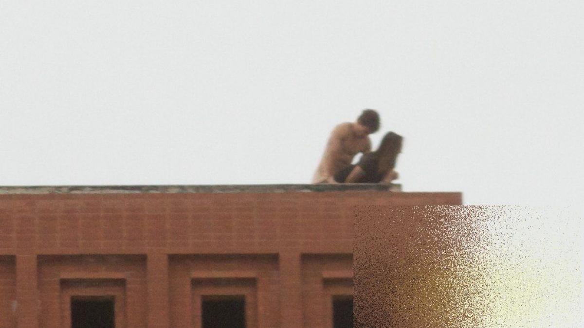 si uite asa si au dat americanii cu firma in cap ce fac doi studenti de la o prestigioasa