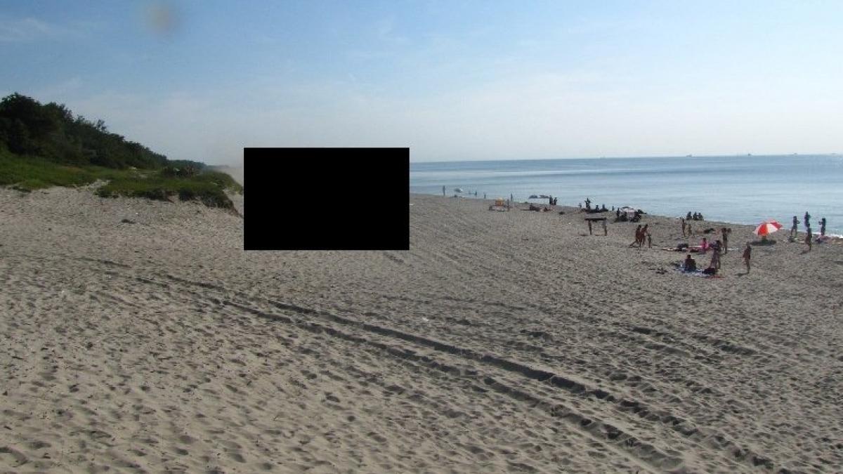 se bronzau pe plaja dar cand si au intors privirea au inmarmurit am crezut ca vom fi atacati ne