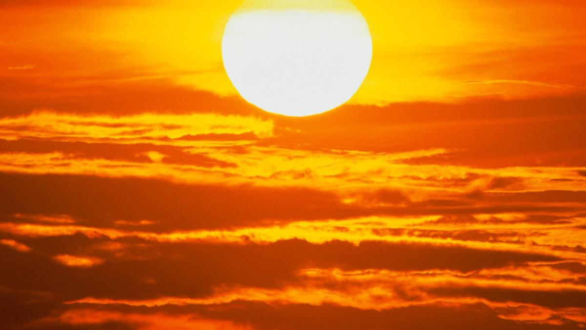 obligati sa nu vada lumina soarelui intr o lume in care nimeni nu stia macar ca ei exista