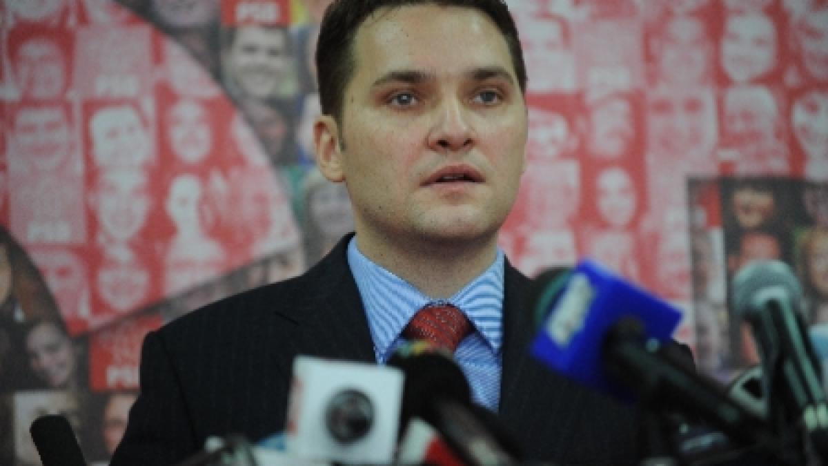 Şova: Antonescu nu a atacat Guvernul, colaborarea sa cu Executivul este excelentă
