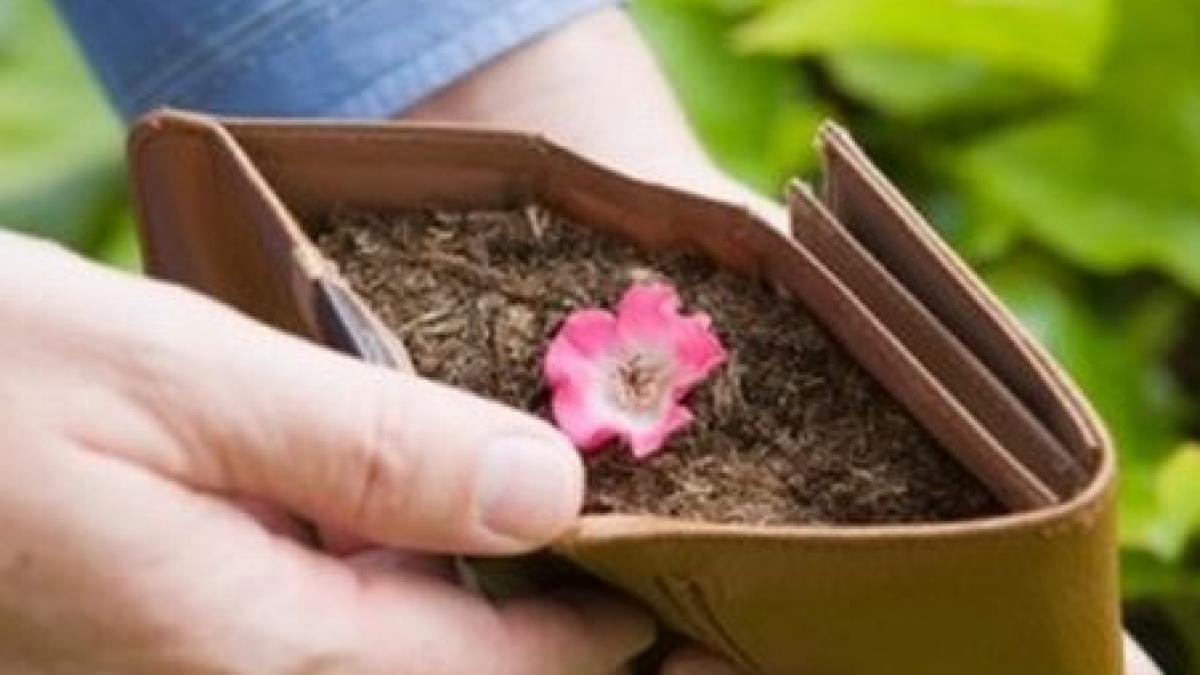 ce i asteapta dupa moarte pe angajatii google vezi care sunt beneficiile de deces