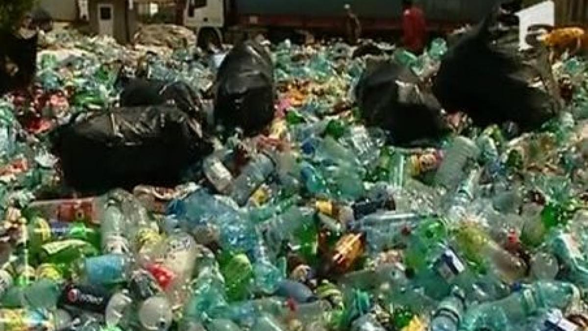 gunoiul unora profitul altora cat te costa zilnic faptul ca nu reciclezi resturile menajere