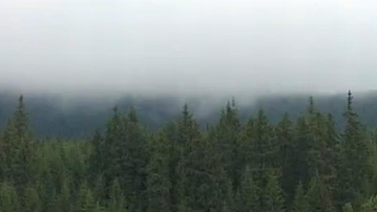 iarna din mijlocul verii temperaturile au ajuns la 0 grade in unele zone