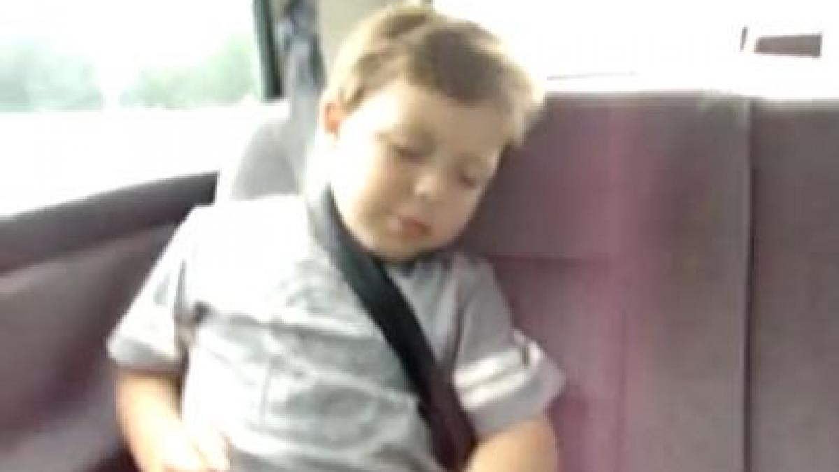 reactia pustiului a strans 11 milioane de vizualizari pe youtube n ai cum sa nu il indragesti