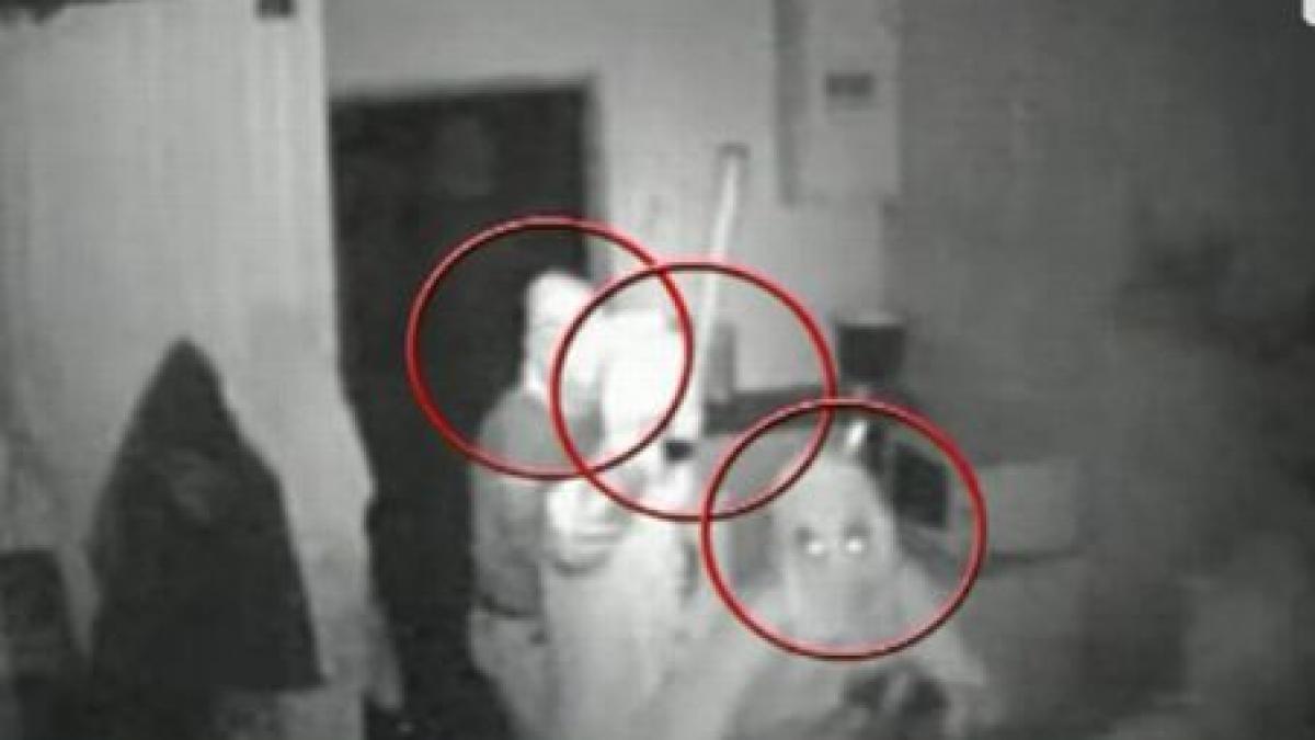 au semanat teroare cu ranga in praga sase talhari romani prinsi de politia ceha