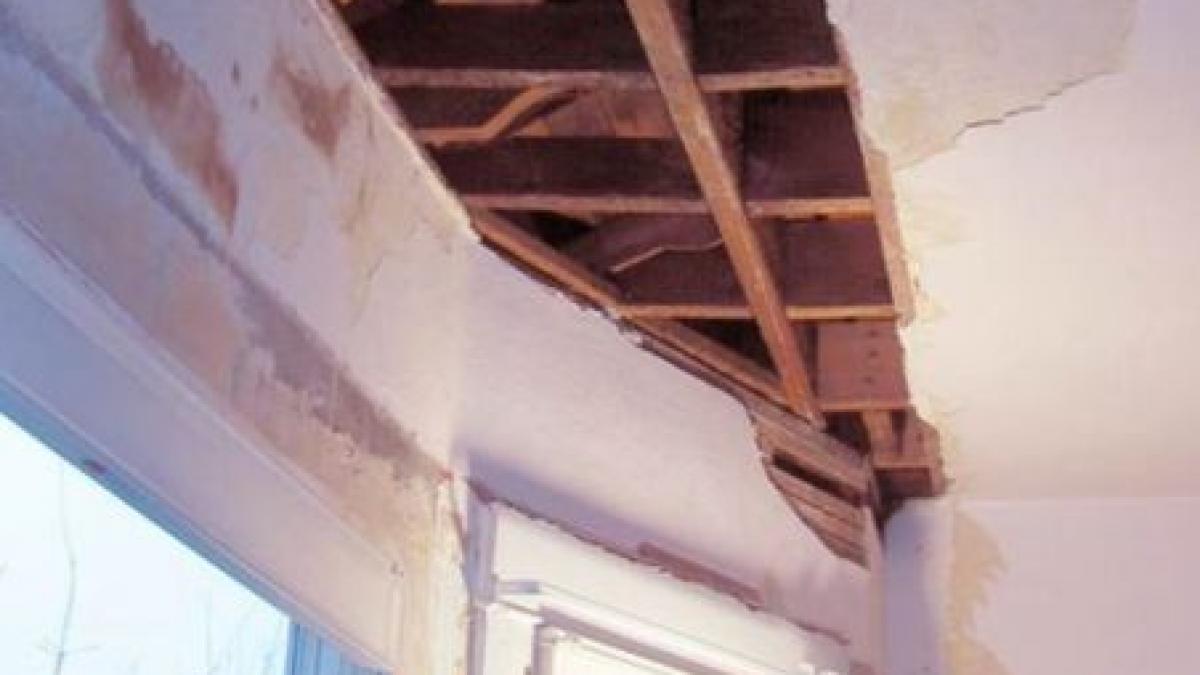 Habar nu a avut de pericolul care-i atârna deasupra capului. Ce a descoperit o femeie din Huşi în tavanul casei sale