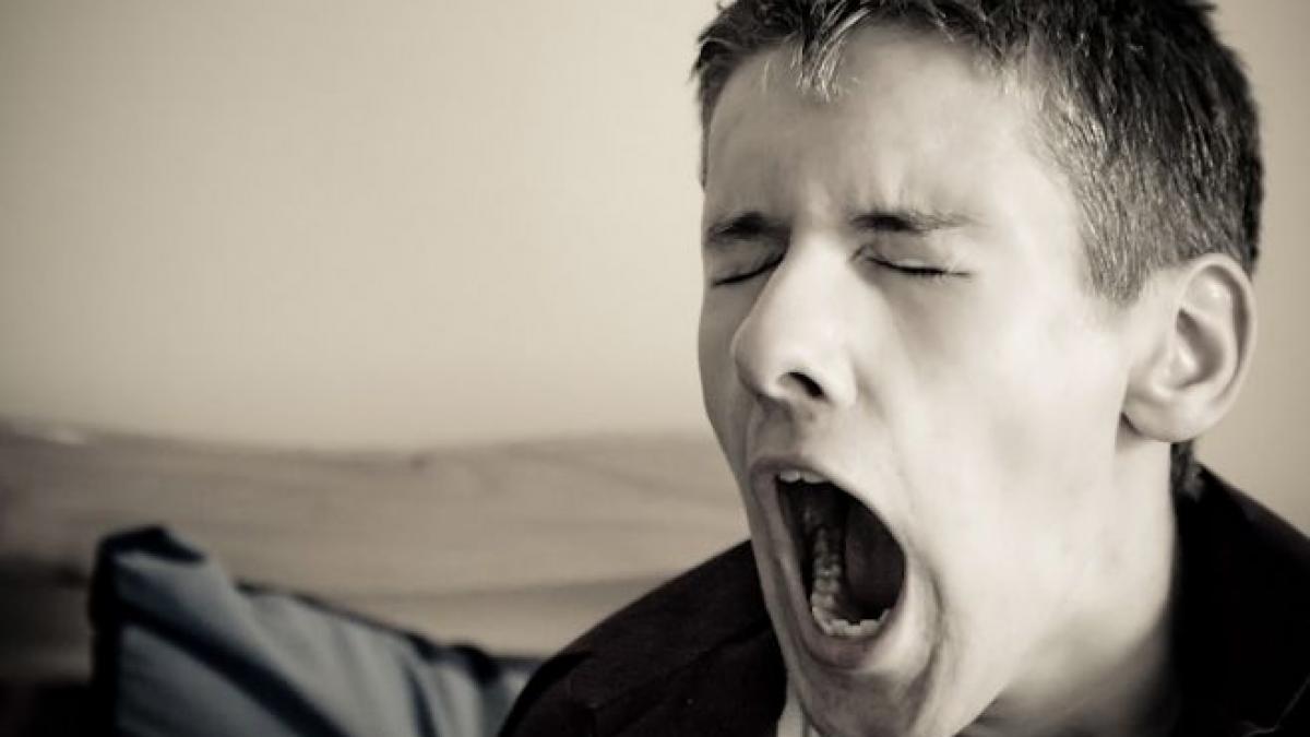 nici ungurii nu dorm vara asculta parodia maghiara a celebrei melodii eu vara nu dorm