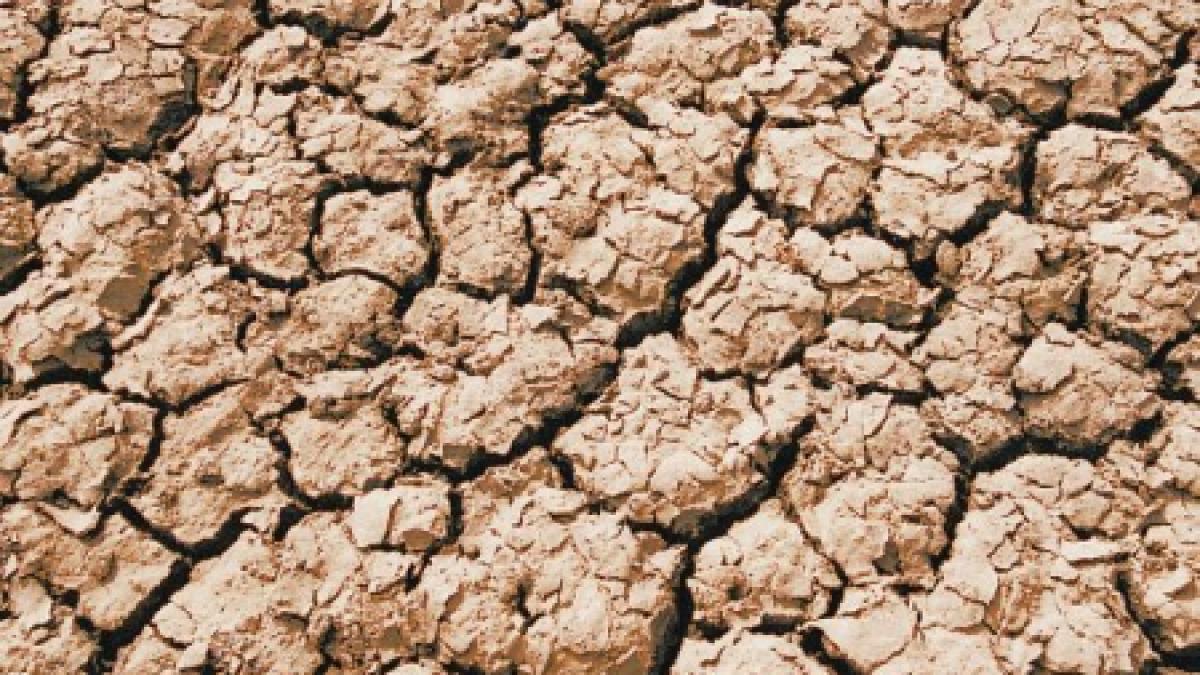 stare de urgenta in rusia aproape 10 din terenurile arabile parjolite de seceta