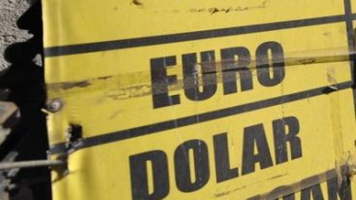 surpriza placuta care ne a mai ridicat moralul leul se intareste pe zi ce trece si a ajuns la