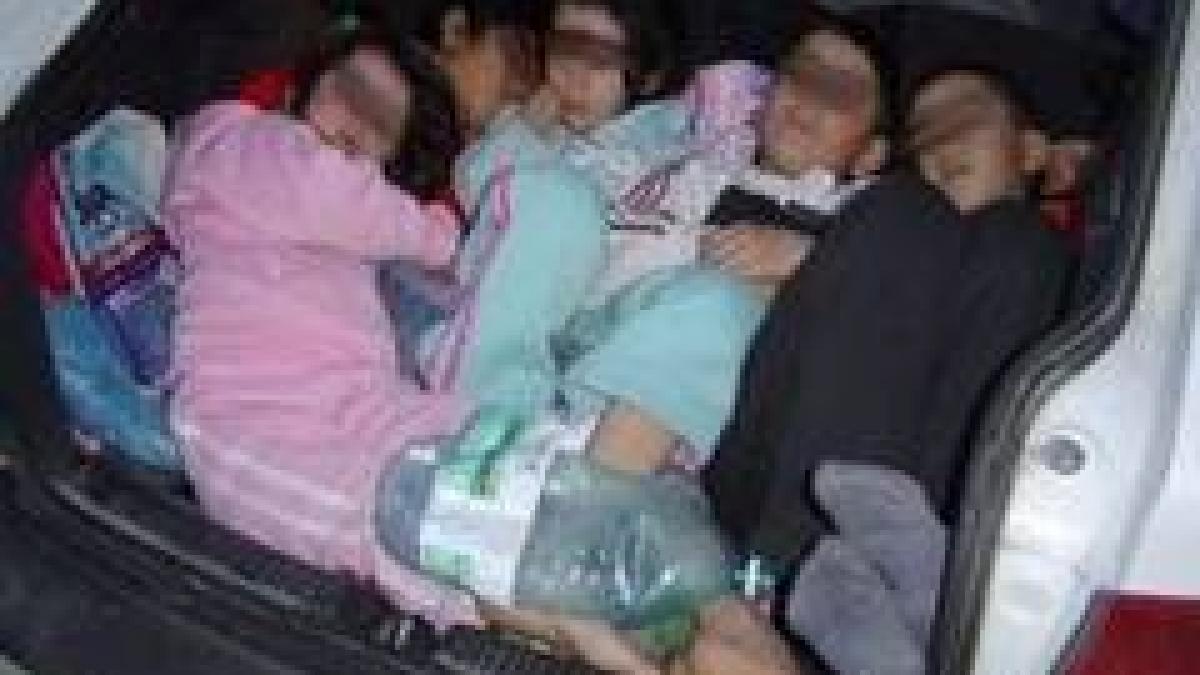 ca n bancurile cu somalezi cati romani incap intr o masina cu sase locuri nemtii i au pus la punct