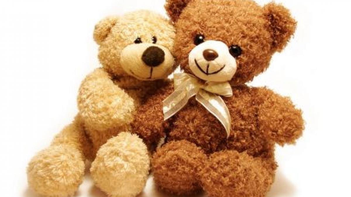 cum a ajuns anaf sa vanda ursuleti de plus si pile de unghii