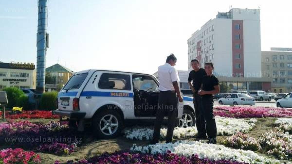 tara in care nici un sofer nu si ar dori sa se afle vezi o colectie amuzanta cu cele mai proaste