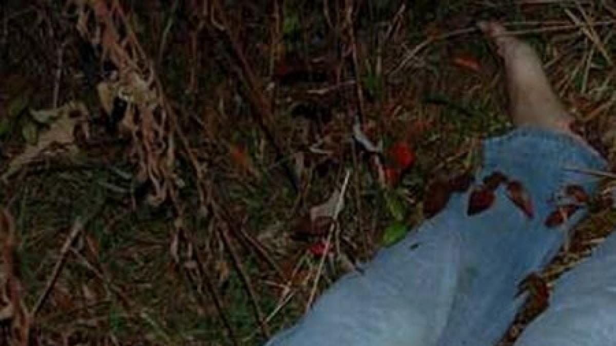 un tanar de 26 de ani principalul suspect pentru asasinarea japonezei gasita in padurea din