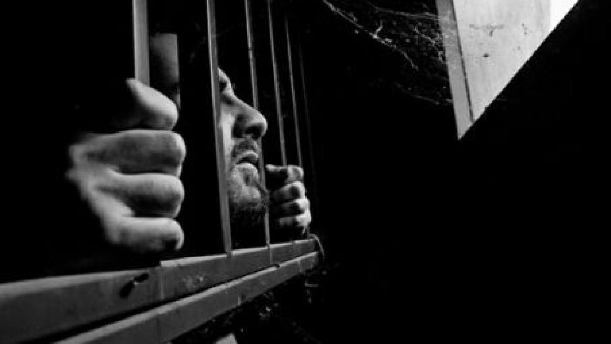 o zi pentru adrian nastase sobolani mirosuri fara telefon si internet iar unii il invidiaza pentru