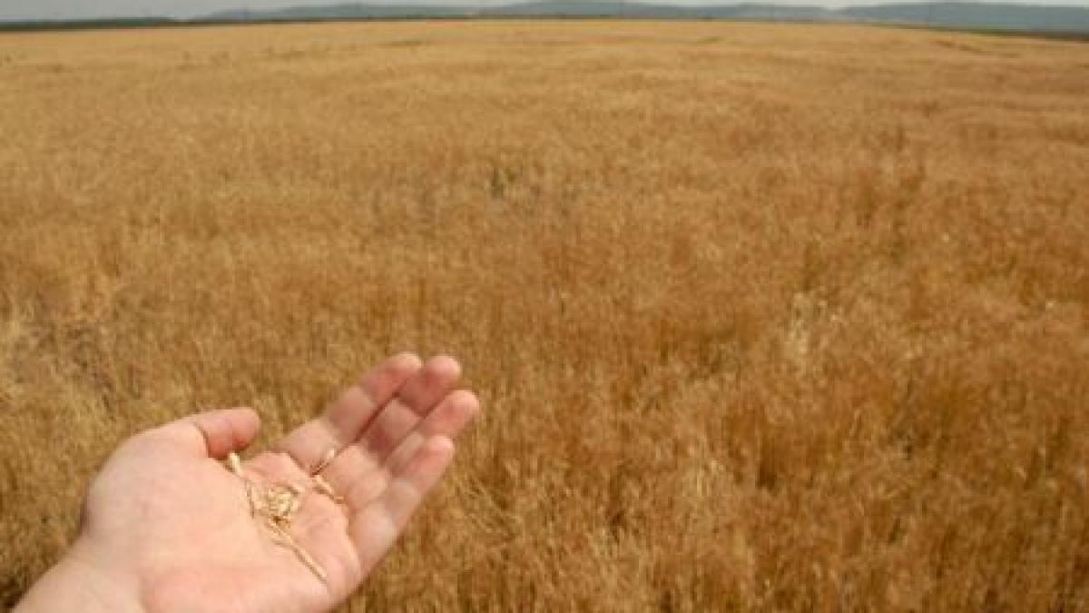 dezastrul care ii va lasa pe romani cu buzunarele goale