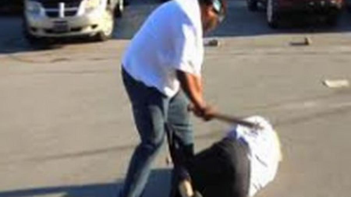 incident socant in curtea rar craiova tata si fiica batuti cu bestialitate de cinci agresori