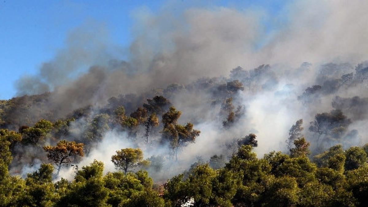 atena incendiu de vegetatie in apropierea unei baze militare