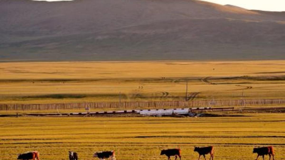 daciotii au fost cuceriti de elvetia rusiei republica altai un peisaj de vis