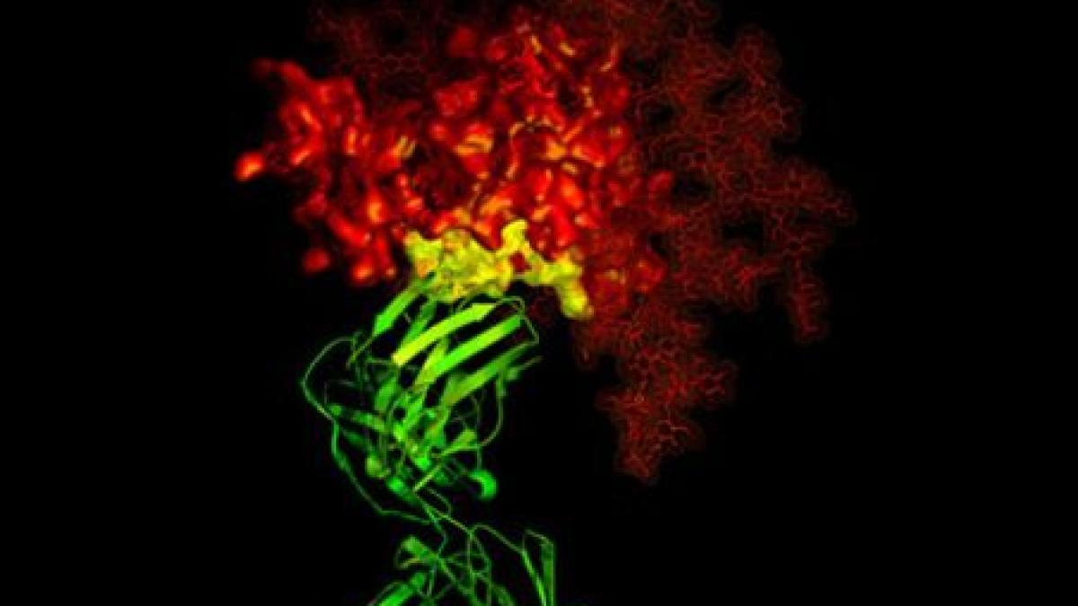 noua sida ameninta omenirea o boala misterioasa a fost descoperita in asia si sua