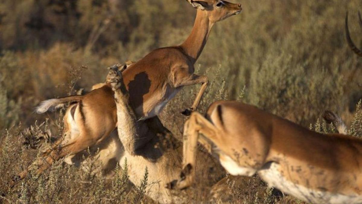 cand o secunda inseamna viata cum s a terminat imaginea si cine a fost marele pierzator