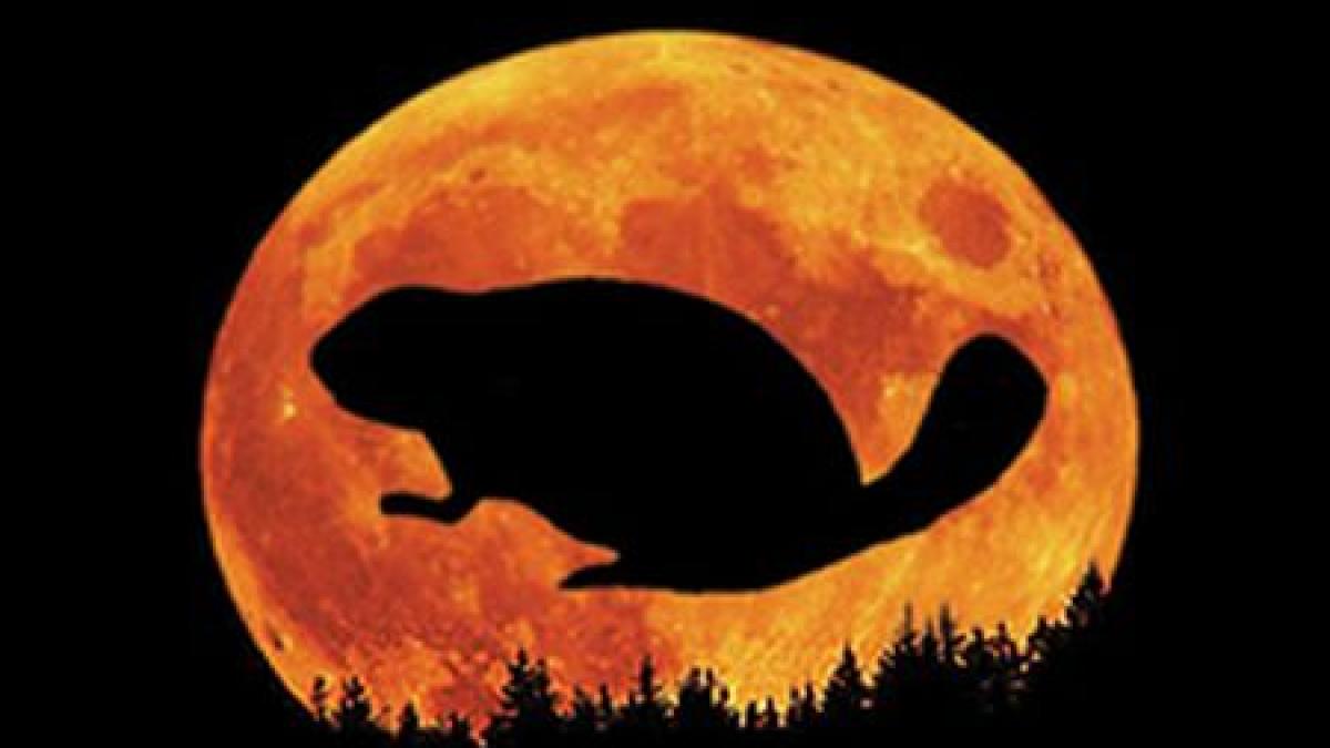 fenomenele interesante care te fac sa nu ti mai dezlipesti privirea de pe cer