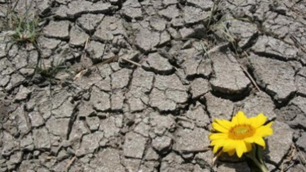 nu scapam de seceta nici in perioada urmatoare vezi prognoza meteo