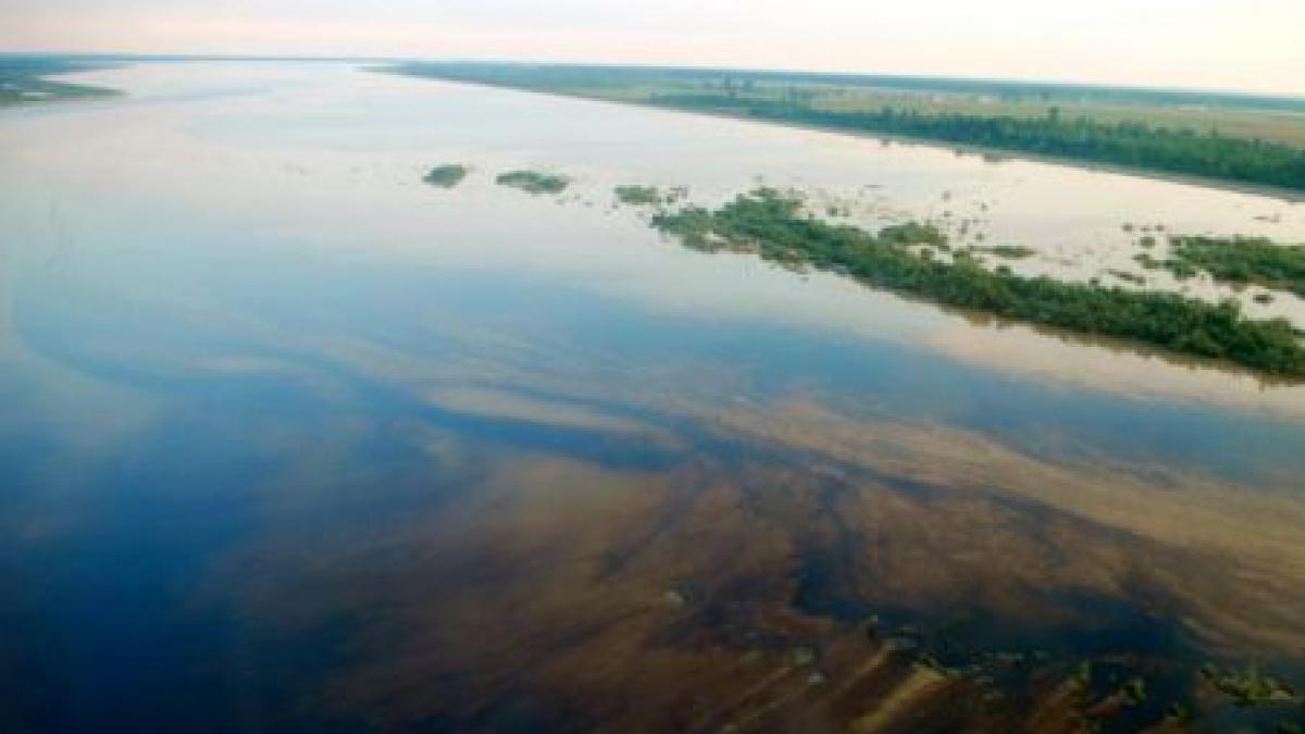 sanctiuni de 75 000 lei pentru poluarea dunarii cu grasimi in apropiere de liceul de marina din