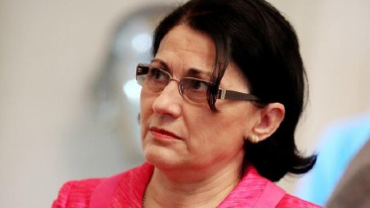 ecaterina andronescu daca este votat de senat bacalaureatul profesional se poate aplica din 2013