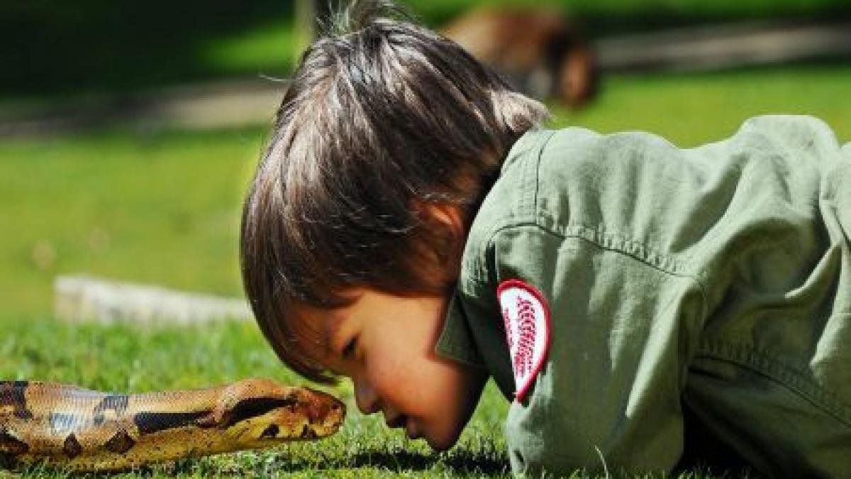 faceti cunostinta cu micul imblanzitor de serpi