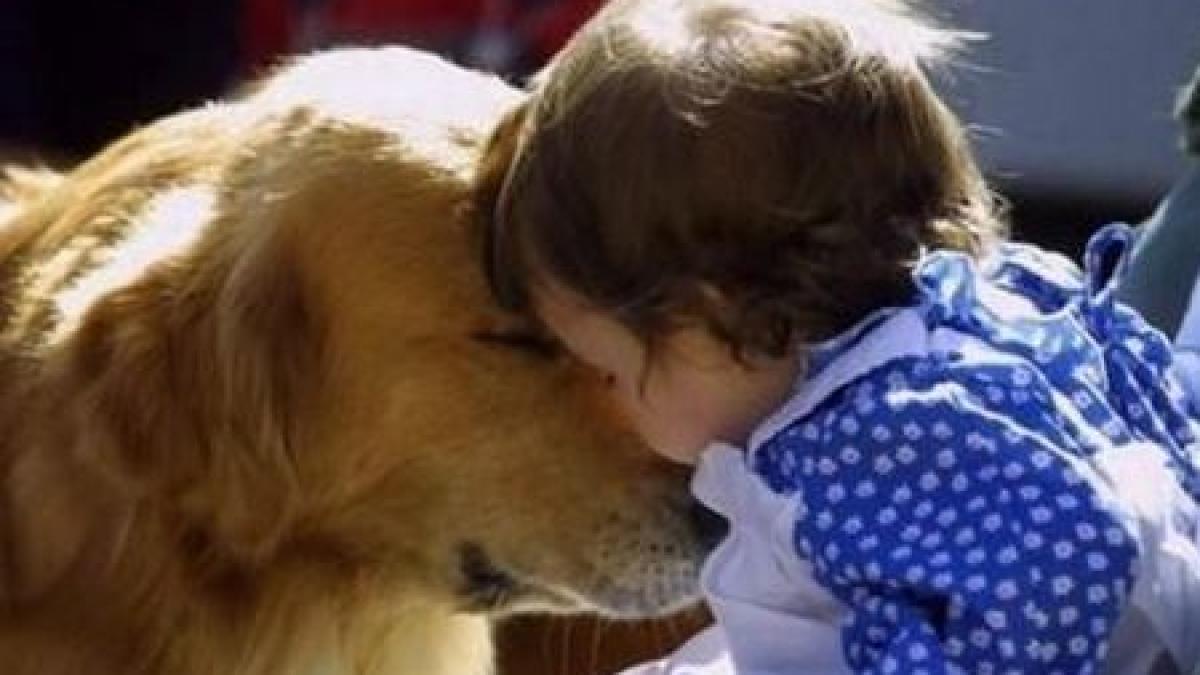 fapt demonstrat stiintific cainele chiar e cel mai bun prieten al omului