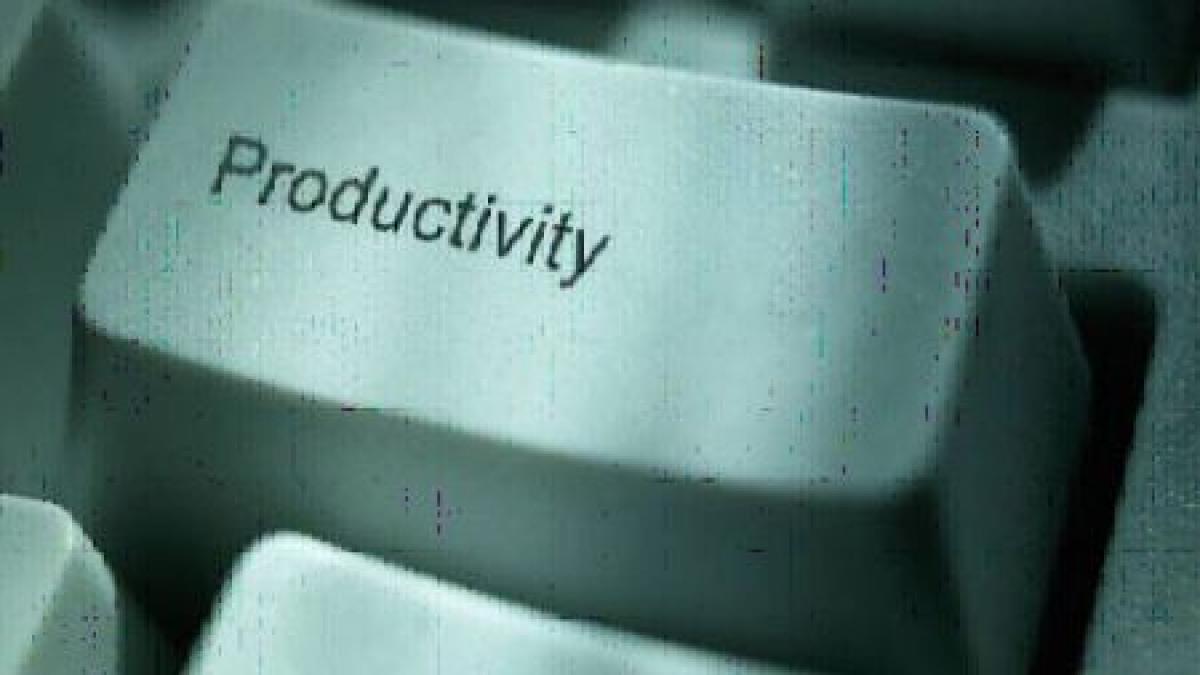 paradoxul din economia romaneasca au cele mai mari pierderi si cei mai productivi angajati