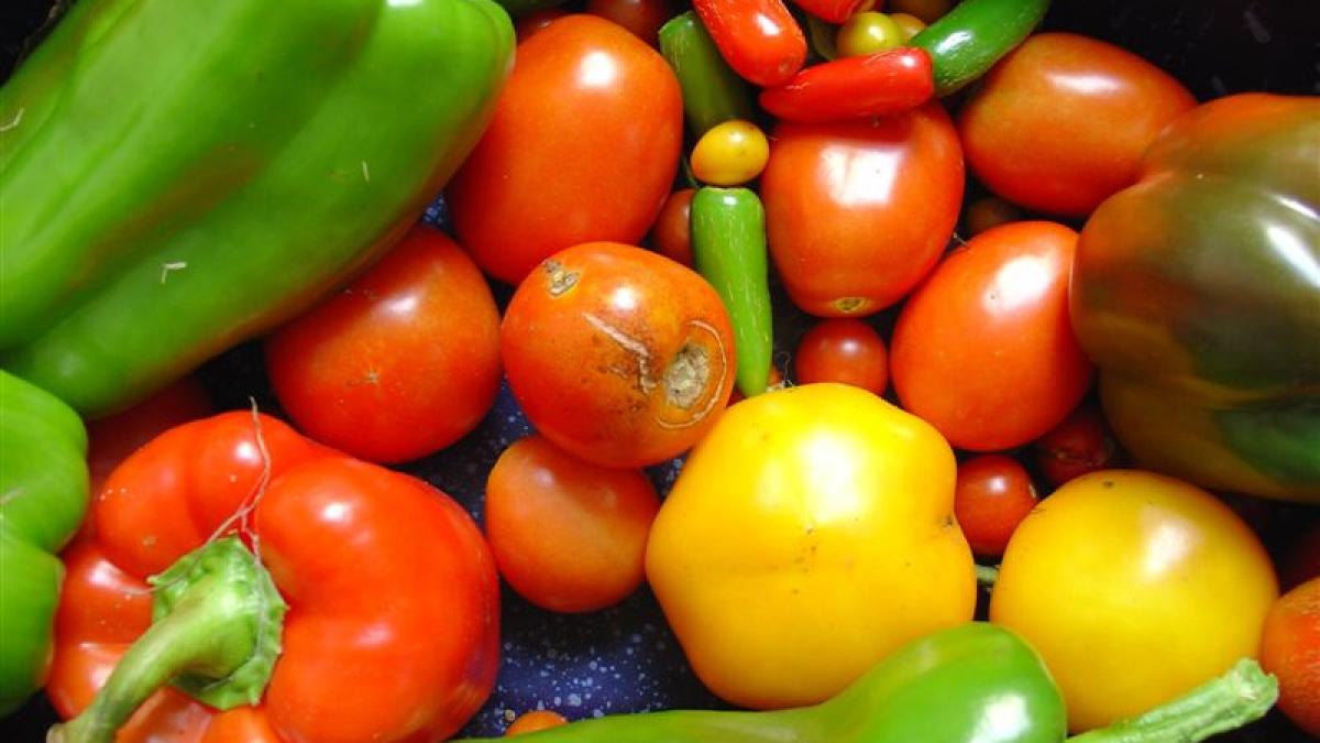 preturile mari ne pun pe goana romanii ies din tara ca sa cumpere legume