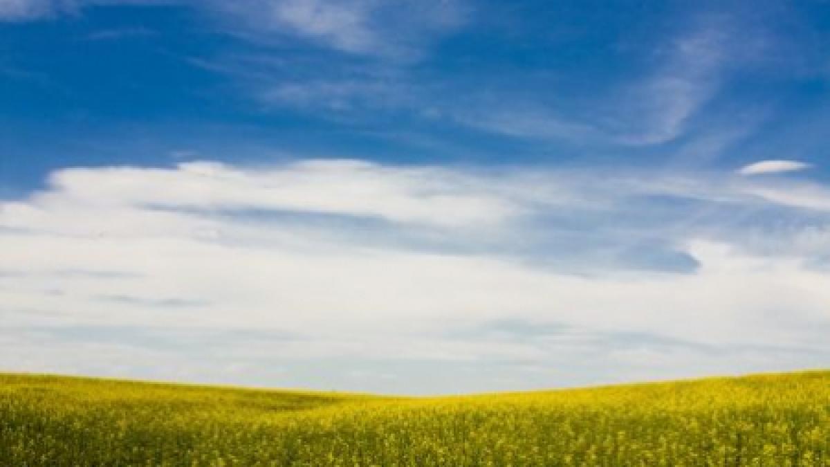 vezi aici prognoza meteo in tara si bucuresti