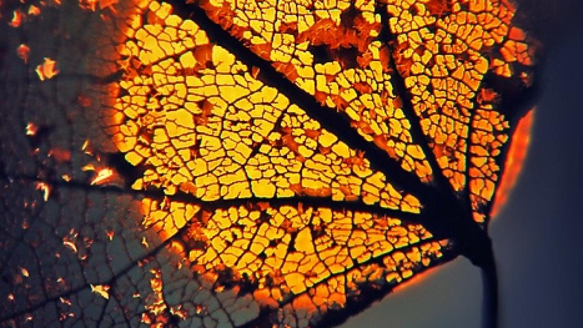 vremea se va schimba radical temperaturile scad brusc si cu 10 grade care sunt zonele vizate si cat