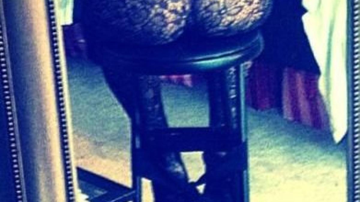 cum a ajuns aceasta imagine sa fie poza zilei pe internet n am vazut ceva mai frumos decat asta