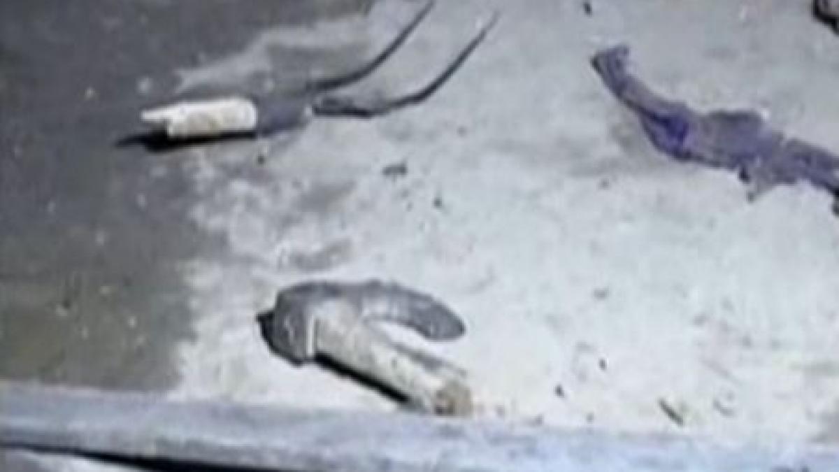 s au batut cu sabii furci si topoare in dambovita patru dintre scandalagii au ajuns la spital